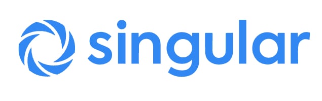 Singular logo